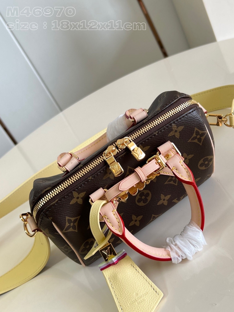 LV Satchel Bags